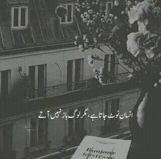 Social media post