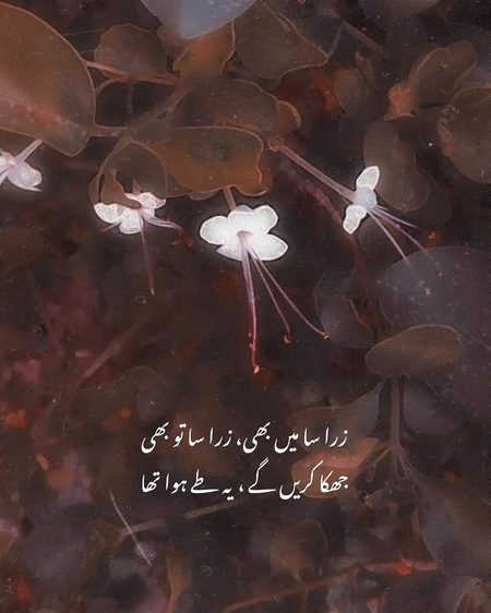 Sad Poetry image