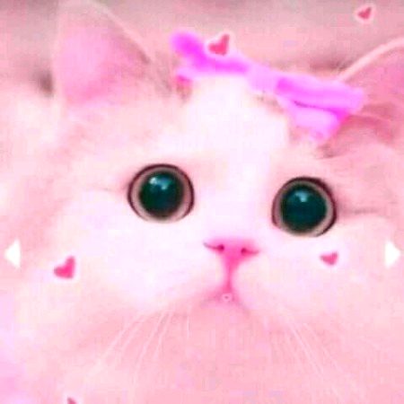 Beautiful Nature image