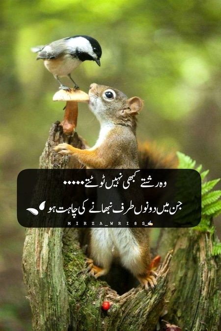 Social media post