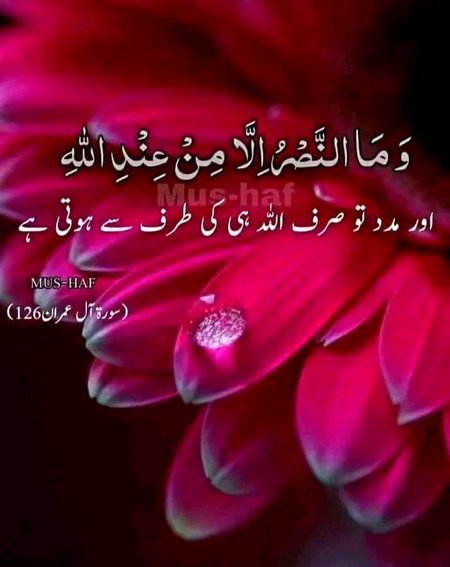 Islamic Quotes image