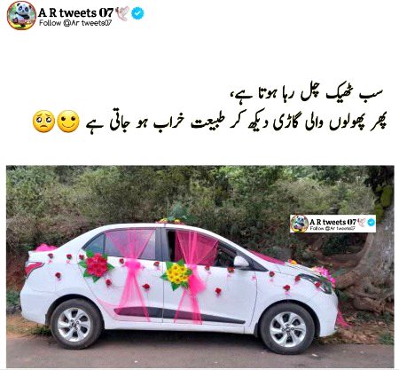 Memes & Satire image