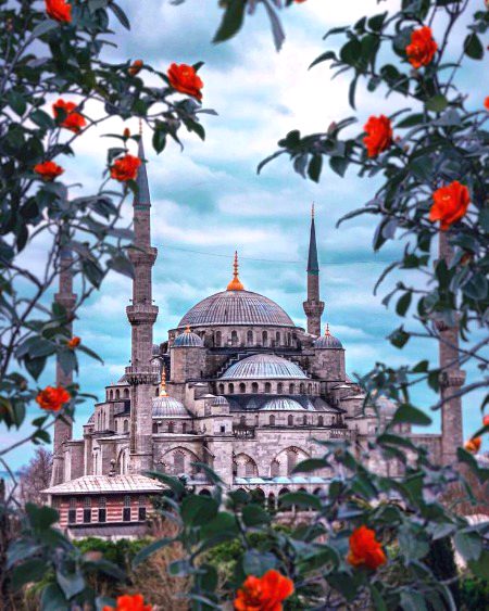 Beautiful Structures image