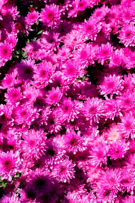 Beautiful Nature image