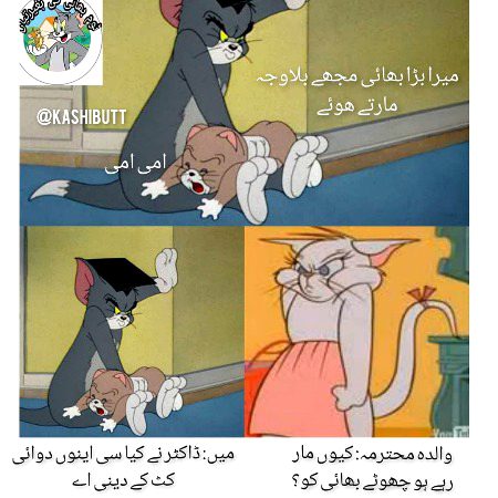 Memes & Satire image
