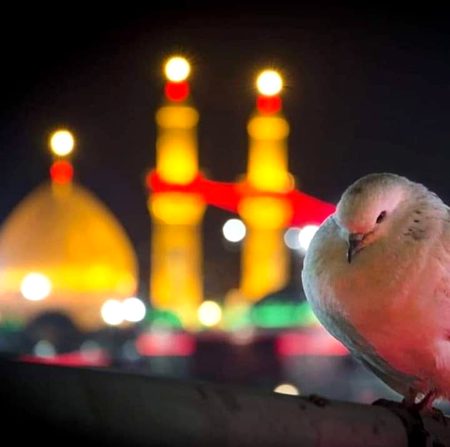 Beautiful Nature image