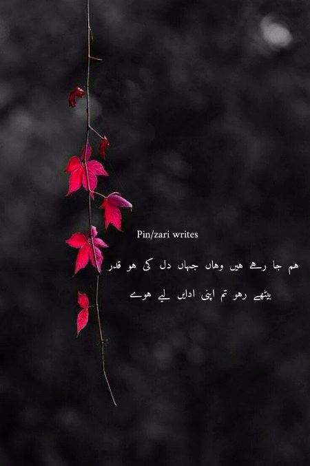 Attitude Poetry image