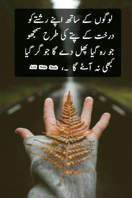 Motivational Quotes image