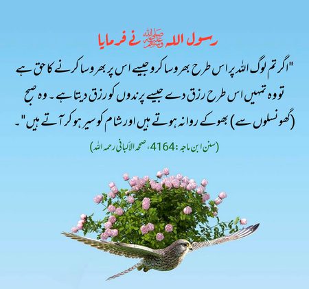Islamic Quotes image