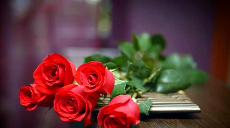 Beautiful Nature image