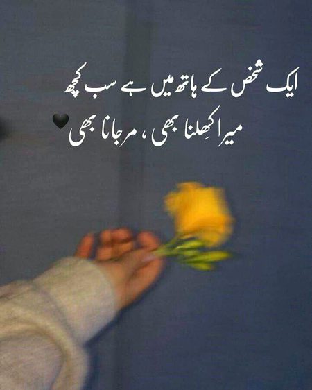 Motivational Quotes image