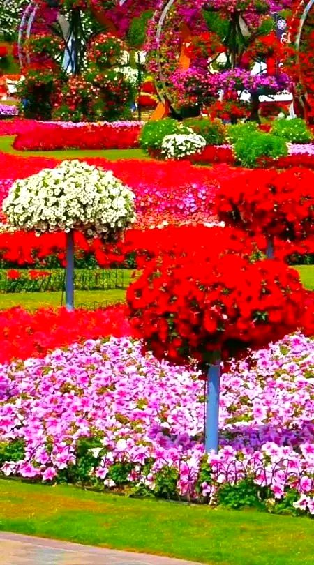 Beautiful Nature image