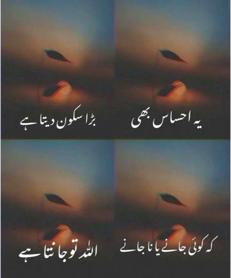 Islamic Quotes image