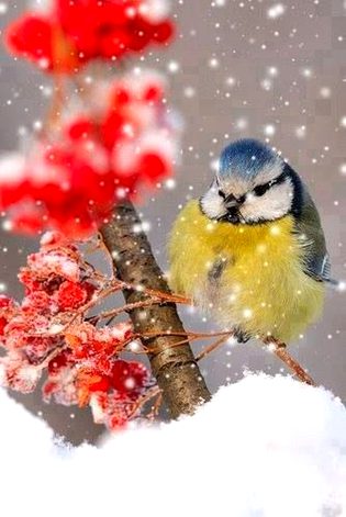 Beautiful Nature image