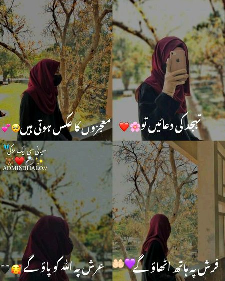 Islamic Quotes image