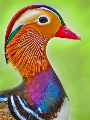 Beautiful Nature image