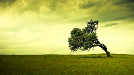 Beautiful Nature image