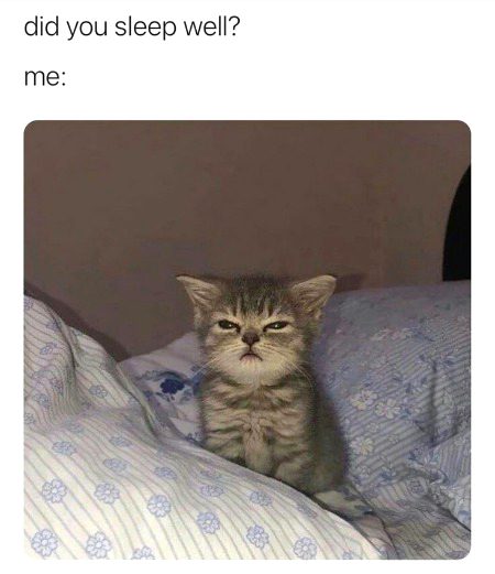 Memes & Satire image