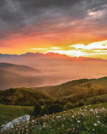 Beautiful Nature image