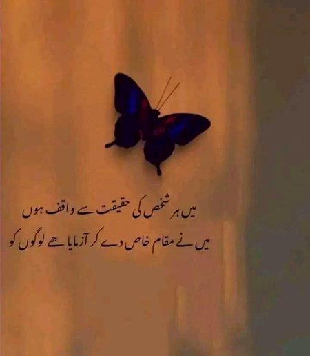 Attitude Quotes image