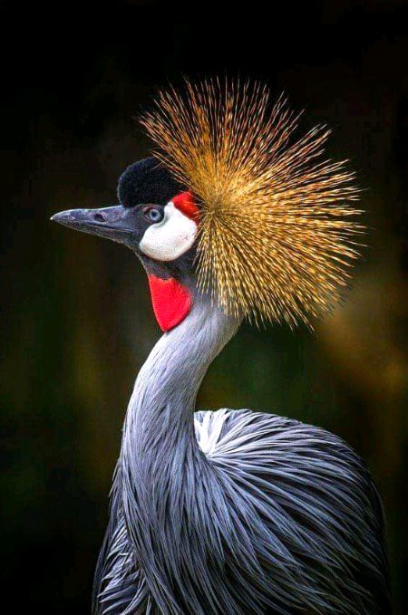 Beautiful Nature image