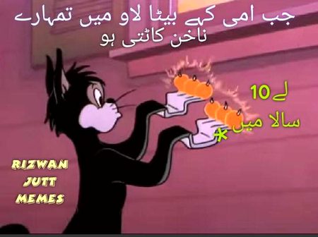 Memes & Satire image