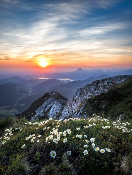 Beautiful Nature image
