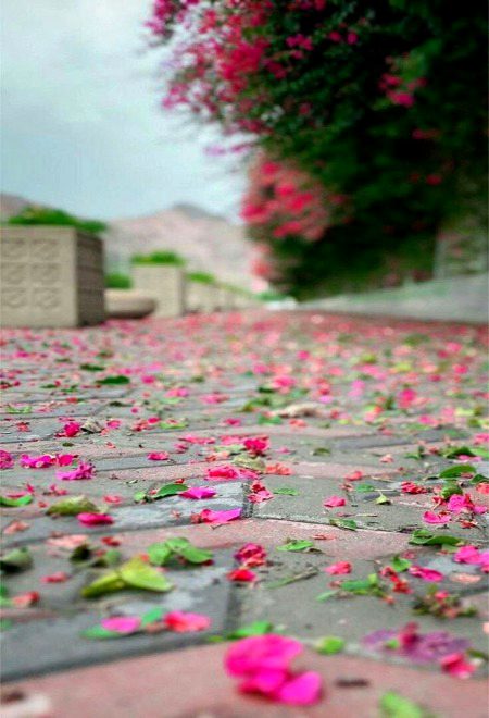 Beautiful Nature image