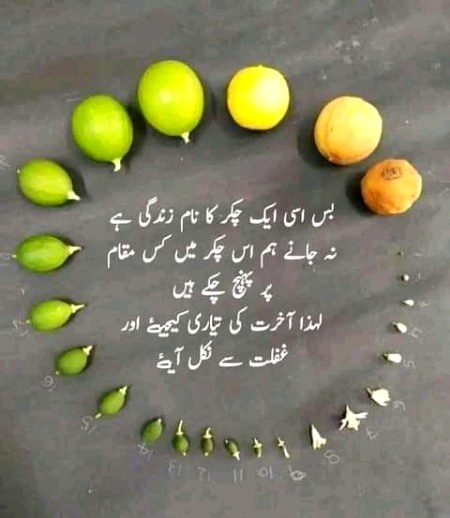 Motivational Quotes image