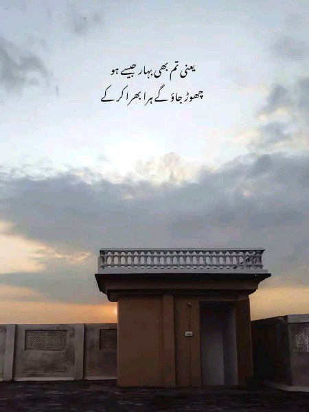 Sad Poetry image