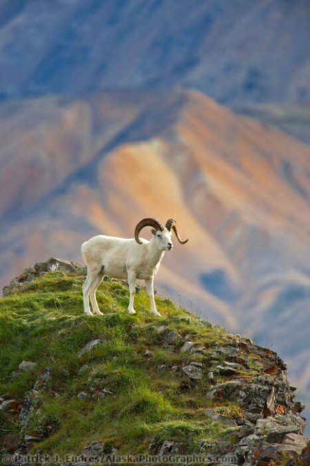 Beautiful Nature image