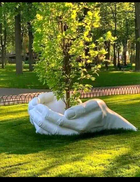 Beautiful Nature image