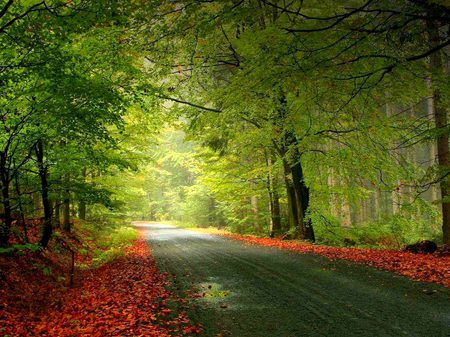 Beautiful Nature image
