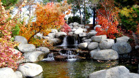 Beautiful Nature image