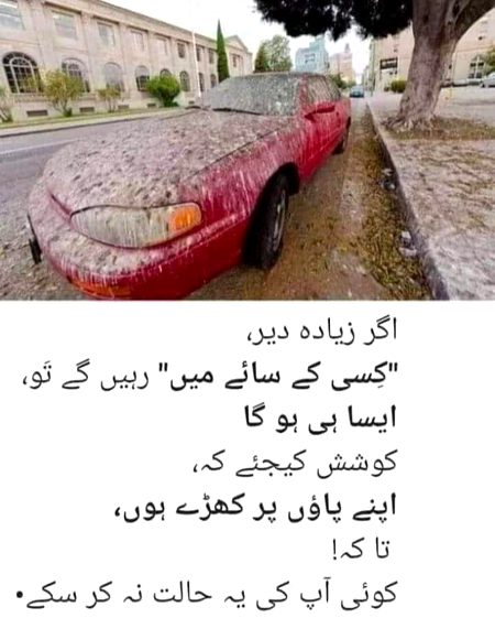 Motivational Quotes image