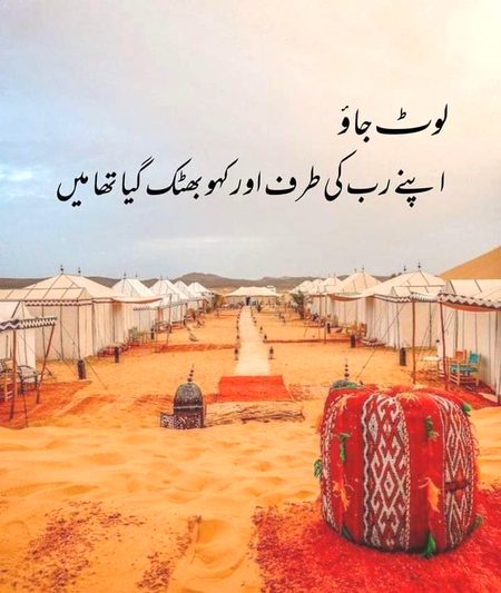 Islamic Quotes image