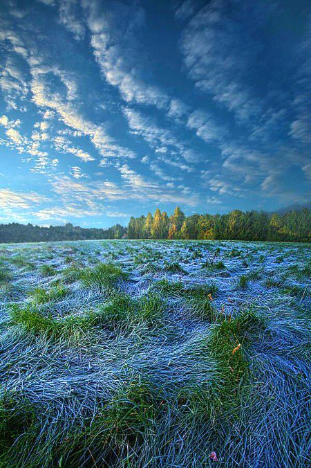 Beautiful Nature image