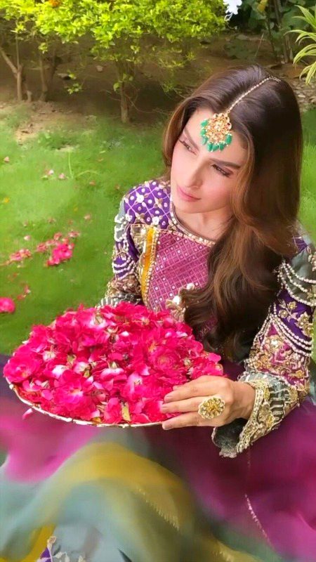 Pakistani Celebs image