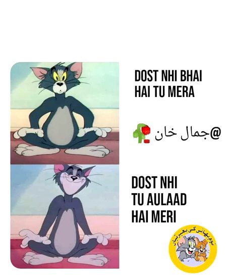 Memes & Satire image