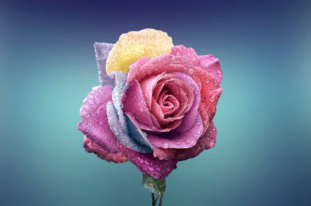 Beautiful Nature image
