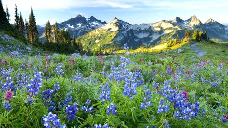 Beautiful Nature image