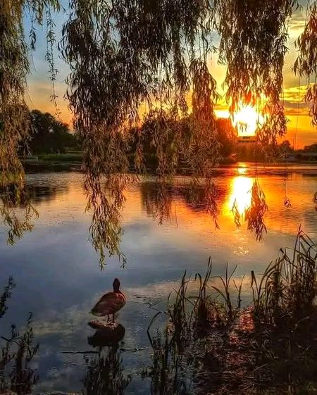 Beautiful Nature image