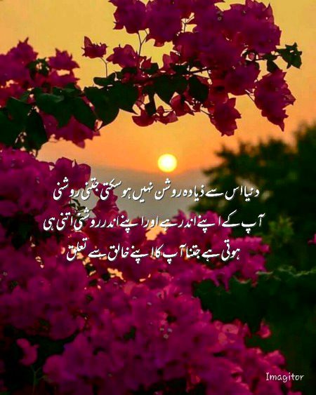 Islamic Quotes image