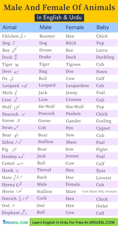 Tips for Students image