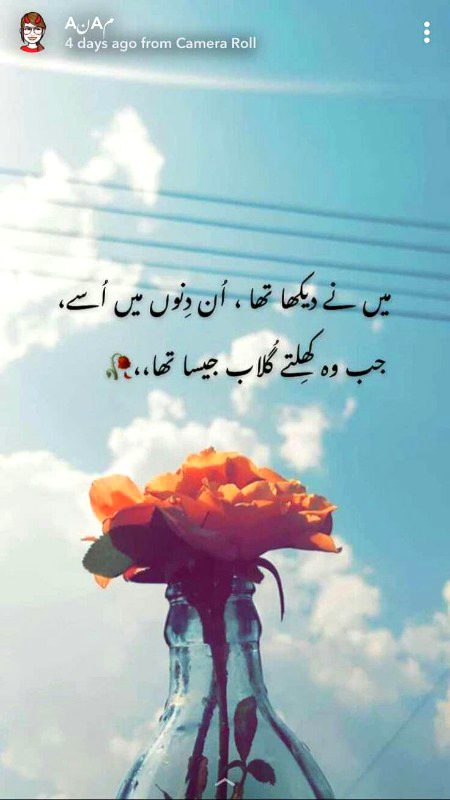 Romantic Poetry image