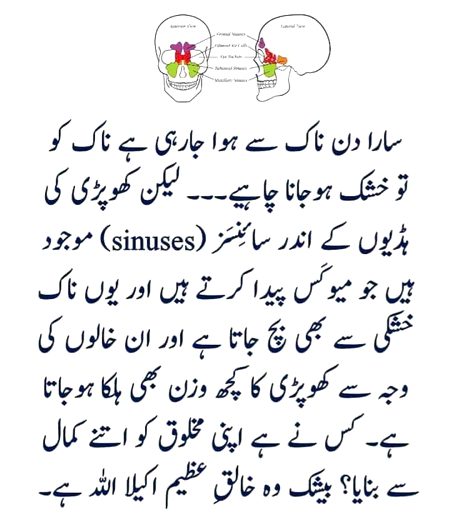 Attitude Quotes image