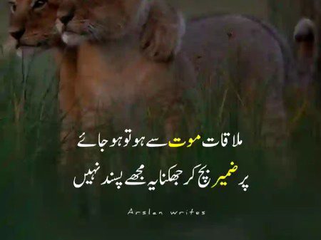 Attitude Poetry image