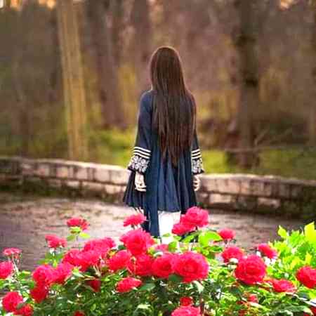 Beautiful Nature image