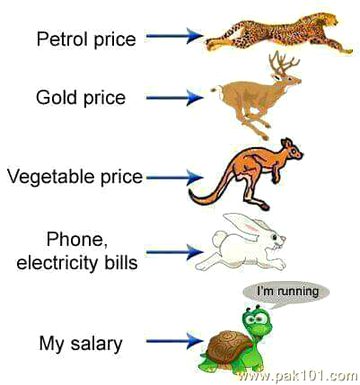 Memes & Satire image