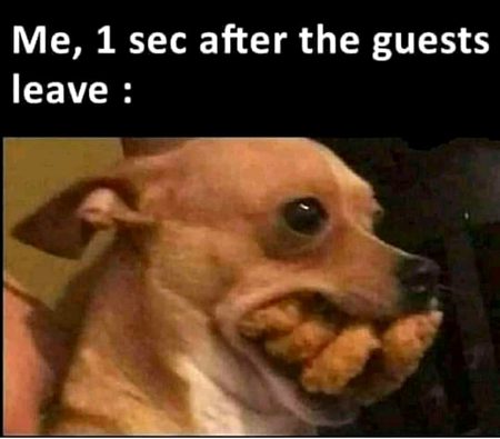 Memes & Satire image